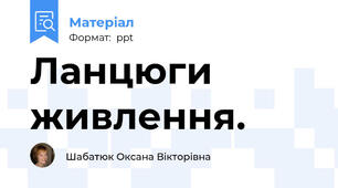 Ланцюги живлення.