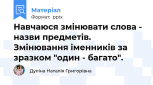 Навчаюся змінювати слова - назви предметів. Змінювання іменників за зразком "один - багато".