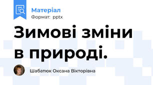 Зимові зміни в природі.