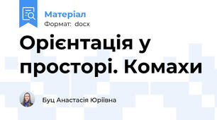 Орієнтація у просторі. Комахи