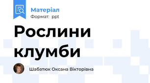 Рослини клумби