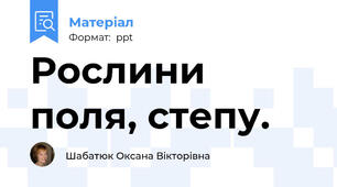 Рослини поля, степу.