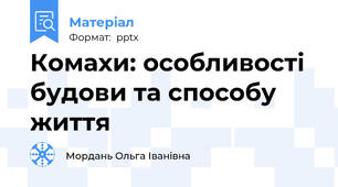 Комахи: особливості будови та способу життя