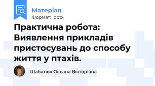 Практична робота: Виявлення прикладів пристосувань до способу життя у птахів.