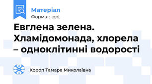 Евглена зелена. Хламідомонада, хлорела – одноклітинні водорості