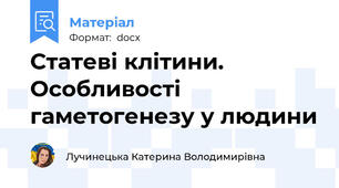 Статеві клітини. Особливості гаметогенезу у людини