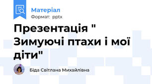 Презентація " Зимуючі птахи і мої діти"