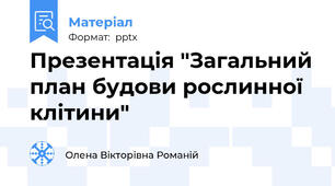 Презентація "Загальний план будови рослинної клітини"
