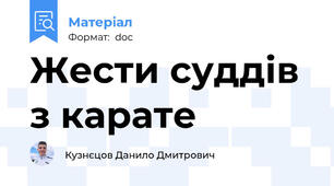 Жести суддів з карате