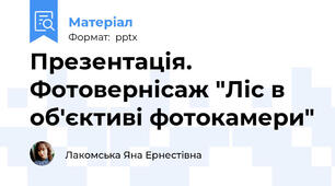 Презентація. Фотовернісаж "Ліс в об'єктиві фотокамери"