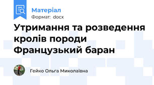 Утримання та розведення кролів породи Французький баран
