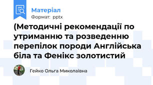 (Методичні рекомендації по утриманню та розведенню перепілок породи Англійська біла та Фенікс золотистий