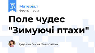 Поле чудес "Зимуючі птахи"
