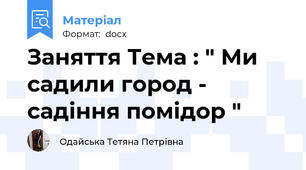 Заняття Тема : " Ми садили город - садіння помідор "
