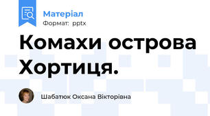 Комахи острова Хортиця.