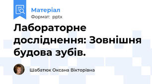 Лабораторне досліднення: Зовнішня будова зубів.