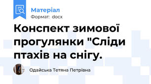 Конспект зимової прогулянки "Сліди птахів на снігу.