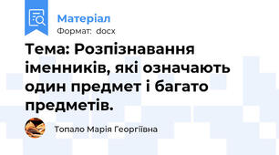 Тема: Розпізнавання іменників, які означають один предмет і багато предметів.