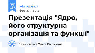 Презентація "Ядро, його структурна організація та функції"