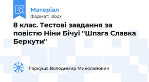 8 клас. Тестові завдання за повістю Ніни Бічуї "Шпага Славка Беркути"