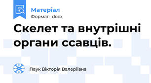 Скелет та внутрішні органи ссавців.