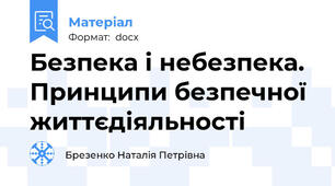 Безпека і небезпека. Принципи безпечної життєдіяльності