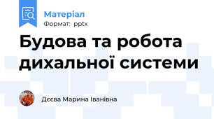 Будова та робота дихальної системи