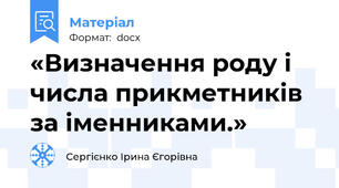 «Визначення роду і числа прикметників за іменниками.»