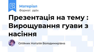 Презентація на тему : Вирощування гуави з насіння