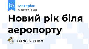 Новий рік біля аеропорту
