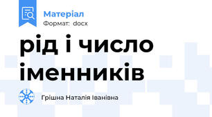 рід і число іменників