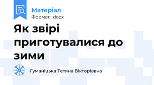 Як звірі приготувалися до зими