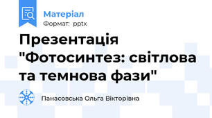 Презентація "Фотосинтез: світлова та темнова фази"