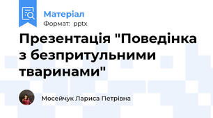 Презентація "Поведінка з безпритульними тваринами"