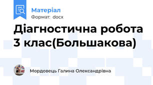 Діагностична робота 3 клас(Большакова)