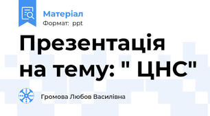 Презентація на тему: " ЦНС"