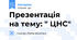Презентація на тему: " ЦНС"