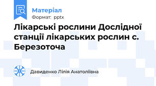Лікарські рослини Дослідної станції лікарських рослин с. Березоточа
