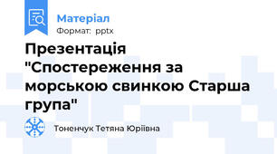 Презентація "Спостереження за морською свинкою Старша група"