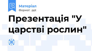 Презентація "У царстві рослин"