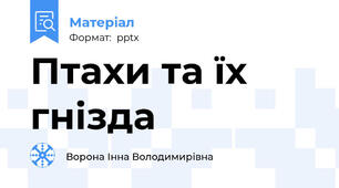 Птахи та їх гнізда