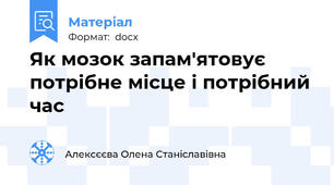 Як мозок запам'ятовує потрібне місце і потрібний час