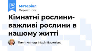 Кімнатні рослини-  важливі рослини в нашому житті