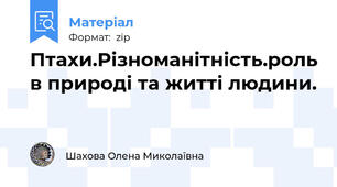 Птахи.Різноманітність.роль в природі та житті людини.