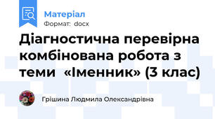 Діагностична перевірна комбінована робота з теми  «Іменник» (3 клас)