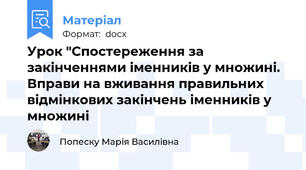 Урок "Спостереження за закінченнями іменників у множині. Вправи на вживання правильних відмінкових закінчень іменників у множині