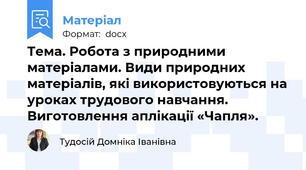 Тема. Робота з природними матеріалами. Види природних матеріалів, які використовуються на уроках трудового навчання. Виготовлення аплікації «Чапля».