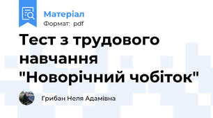 Тест з трудового навчання "Новорічний чобіток"