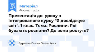 Презентація до  уроку з інтегрованого курсу "Я досліджую світ". 1 клас. Тема. Рослини. Які бувають рослини? Де вони ростуть?