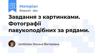 Завдання з картинками.  Фотографії павукоподібних за рядами.